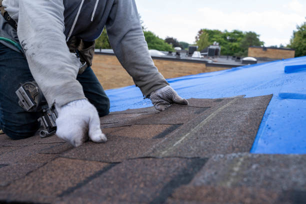 Best Local Roofing Companies  in Horace, ND