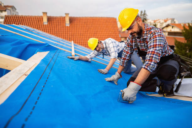 Best Roof Gutter Cleaning  in Horace, ND