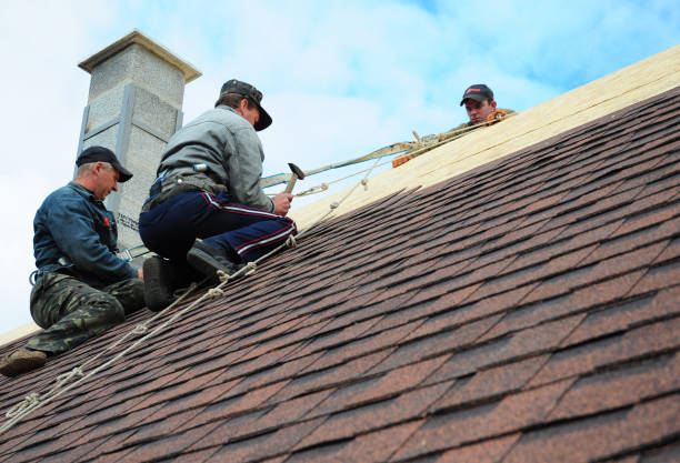 Best New Roof Installation  in Horace, ND