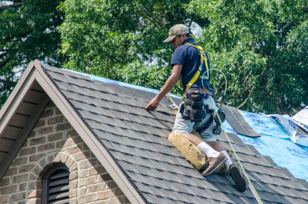 Best Roof Repair Services  in Horace, ND